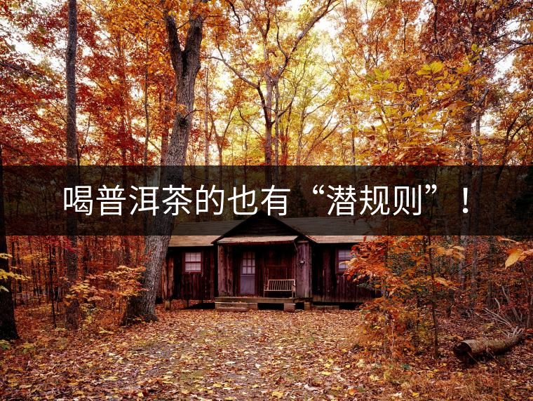 喝普洱茶的也有“潛規(guī)則”！
