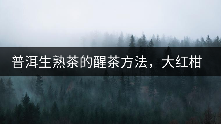 普洱生熟茶的醒茶方法，大紅柑與小青柑對比