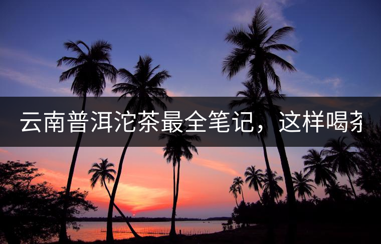云南普洱沱茶最全筆記，這樣喝茶才更健康！