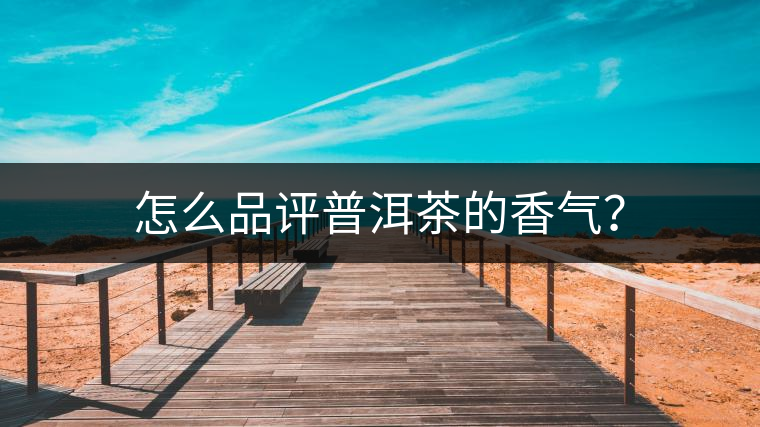 怎么品評普洱茶的香氣？