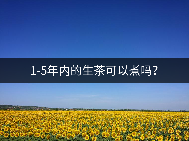1-5年內(nèi)的生茶可以煮嗎？