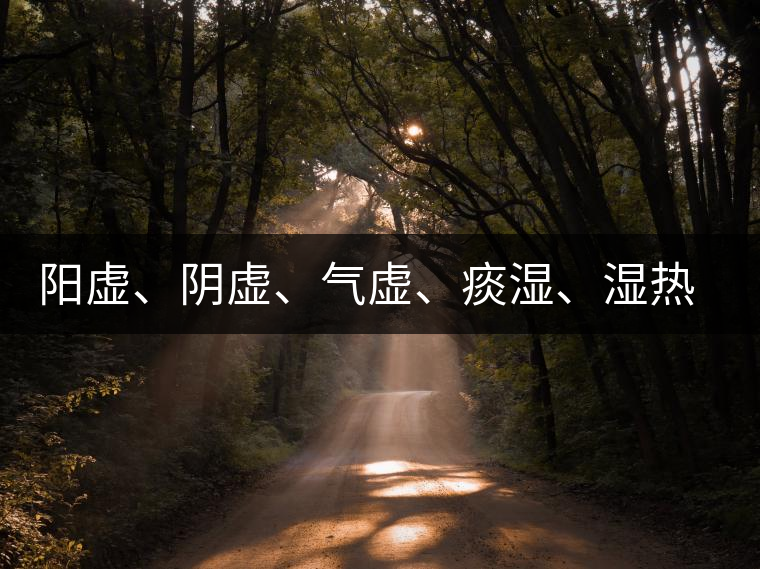 陽虛、陰虛、氣虛、痰濕、濕熱……該怎么喝茶？