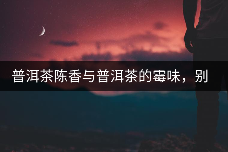 普洱茶陳香與普洱茶的霉味，別把它們給搞混了