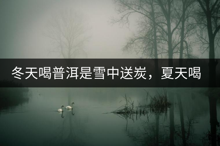 冬天喝普洱是雪中送炭，夏天喝就是火上澆油了？