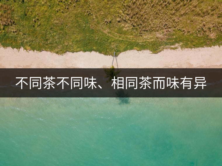 不同茶不同味、相同茶而味有異