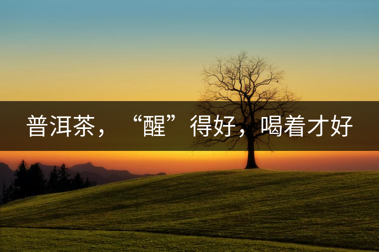 普洱茶，“醒”得好，喝著才好