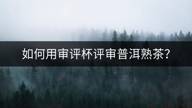 如何用審評杯評審普洱熟茶？