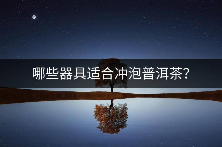 哪些器具適合沖泡普洱茶？