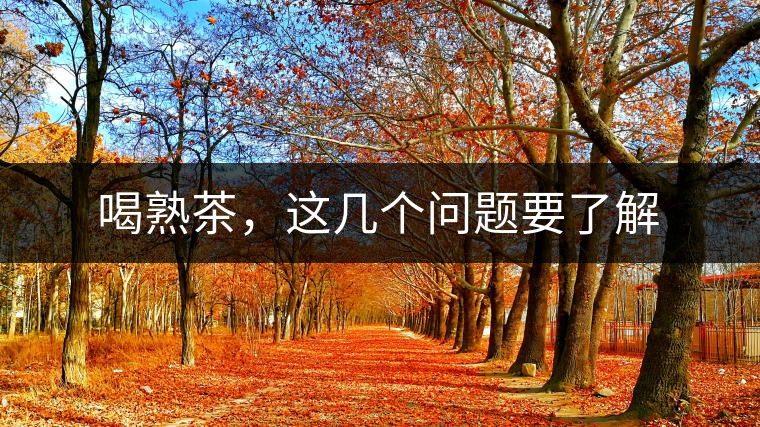 喝熟茶，這幾個問題要了解
