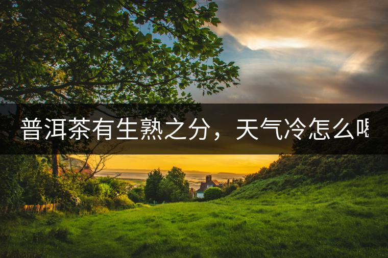 普洱茶有生熟之分，天氣冷怎么喝？