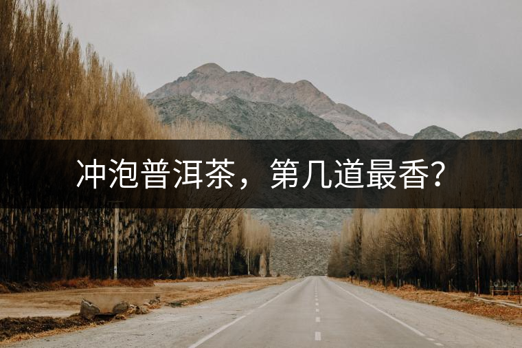沖泡普洱茶，第幾道最香？