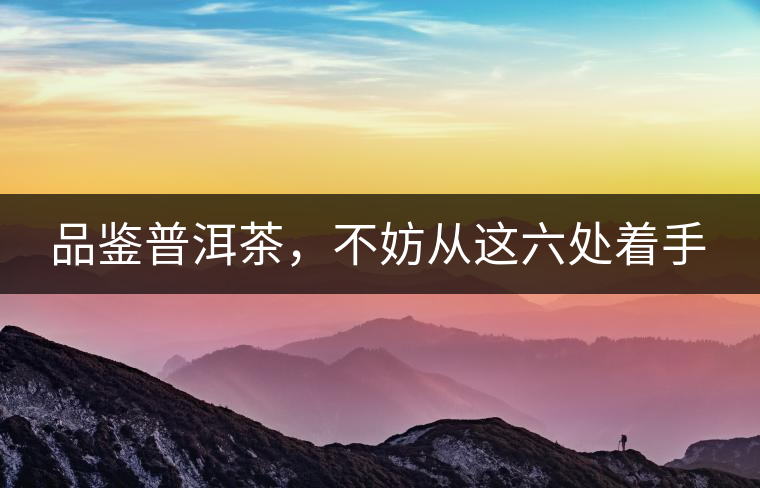 品鑒普洱茶，不妨從這六處著手