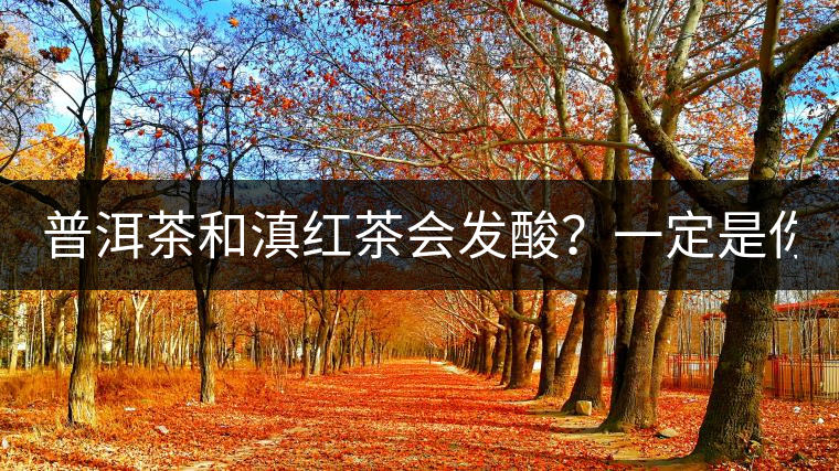 普洱茶和滇紅茶會發(fā)酸？一定是你這么做了！