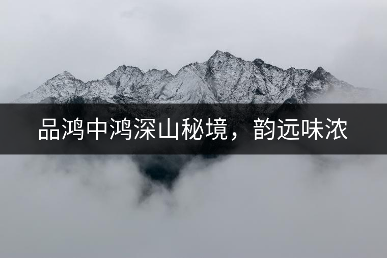 品鴻中鴻深山秘境，韻遠味濃