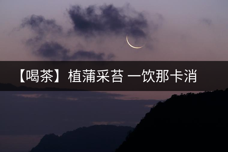 【喝茶】植蒲采苔 一飲那卡消夏