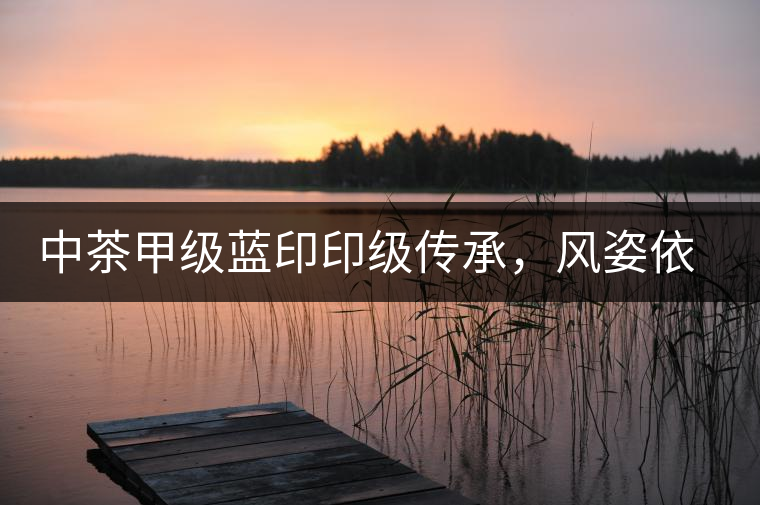 中茶甲級藍印印級傳承，風(fēng)姿依舊