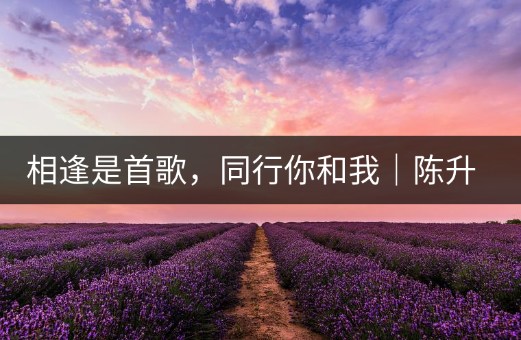 相逢是首歌，同行你和我｜陳升號(hào)與大家相約武漢茶博會(huì)！