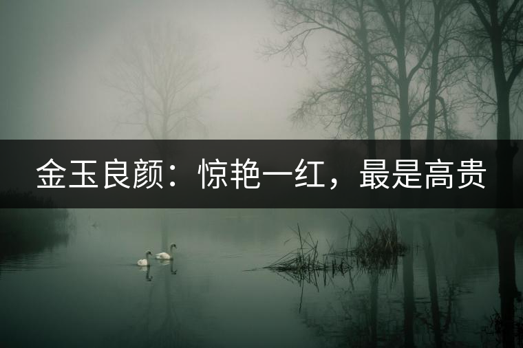 金玉良顏：驚艷一紅，最是高貴