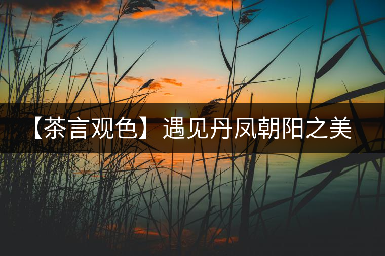 【茶言觀色】遇見丹鳳朝陽(yáng)之美(熟) 【茶言觀色】遇見丹鳳朝陽(yáng)之美(熟)