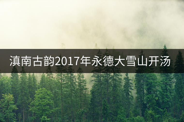 滇南古韻2017年永德大雪山開(kāi)湯品鑒 滇南古韻2017年永德大雪山開(kāi)湯品鑒