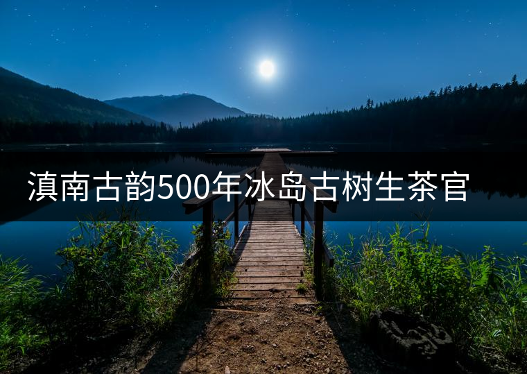 滇南古韻500年冰島古樹(shù)生茶官方評(píng)測(cè)