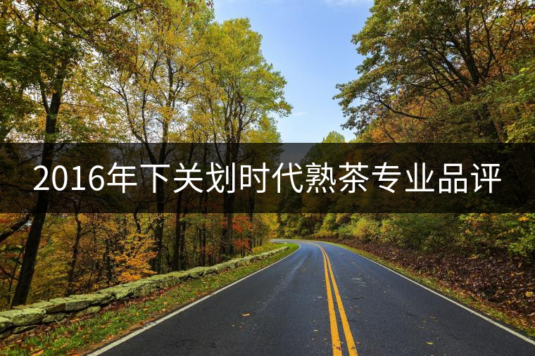 2016年下關劃時代熟茶專業(yè)品評
