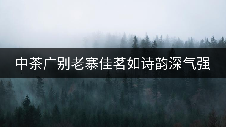 中茶廣別老寨佳茗如詩韻深氣強(qiáng)