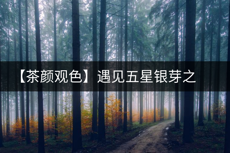 【茶顏觀色】遇見五星銀芽之美 【茶顏觀色】遇見五星銀芽之美