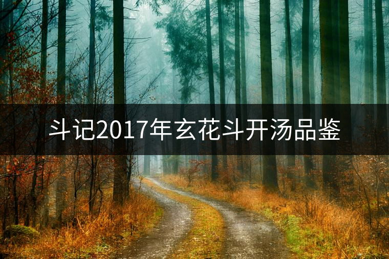 斗記2017年玄花斗開湯品鑒