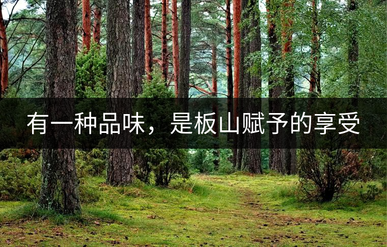 有一種品味，是板山賦予的享受