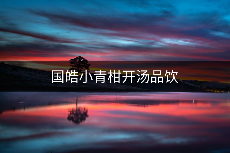 國皓小青柑開湯品飲