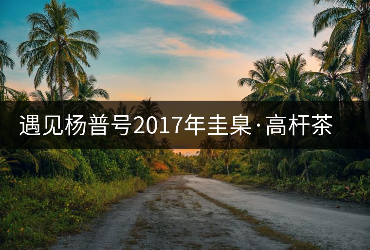 遇見楊普號(hào)2017年圭臬·高桿茶之美 遇見楊普號(hào)2017年圭臬·高桿茶之美