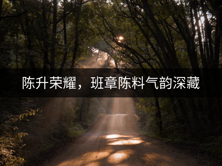 陳升榮耀，班章陳料氣韻深藏