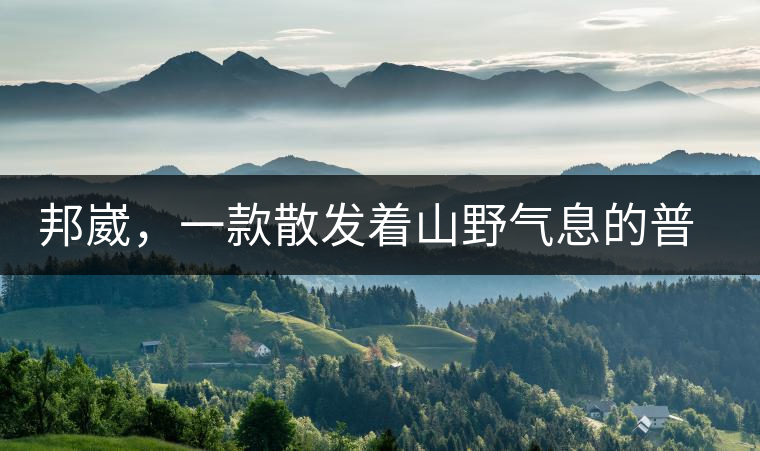 邦崴，一款散發(fā)著山野氣息的普洱