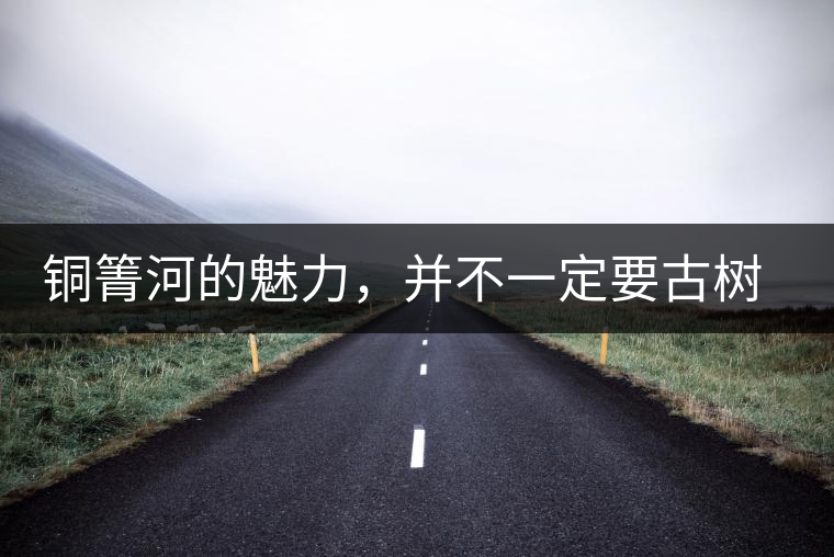 銅箐河的魅力，并不一定要古樹(shù)來(lái)體現(xiàn)