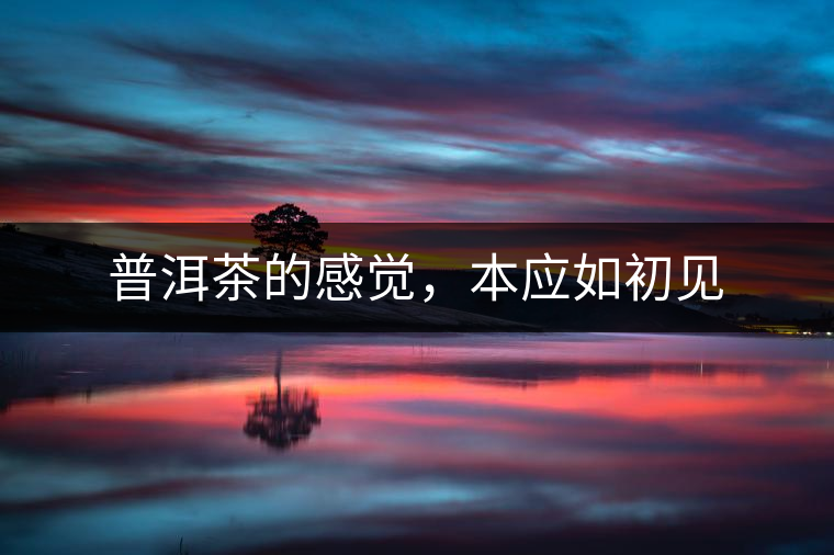 普洱茶的感覺，本應(yīng)如初見