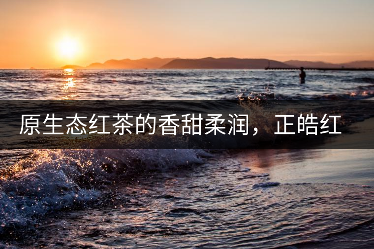 原生態(tài)紅茶的香甜柔潤，正皓紅的魅力無可抵擋！