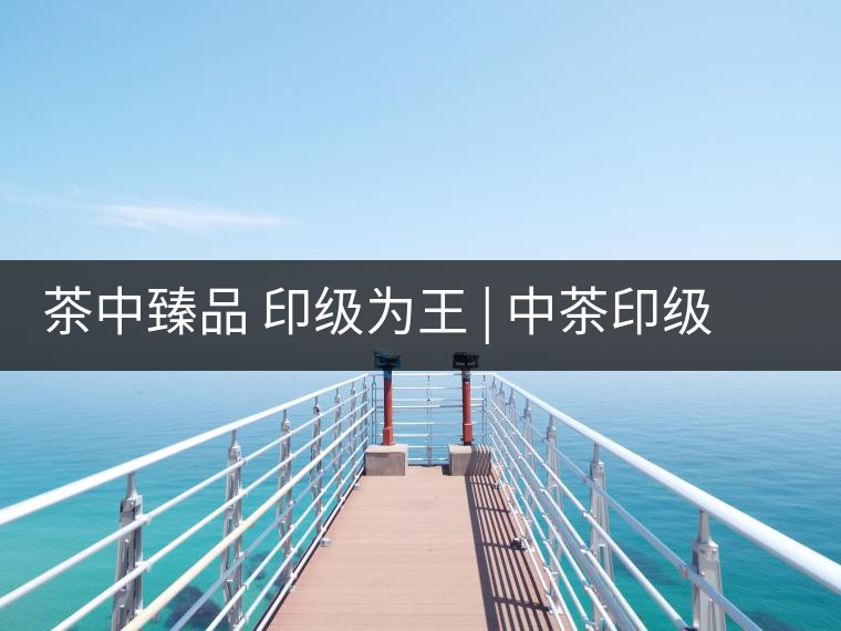 茶中臻品 印級為王 | 中茶印級:值得收藏的普洱茶 茶中臻品 印級為王 | 中茶印級:值得收藏的普洱茶