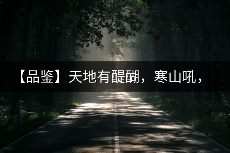 【品鑒】天地有醍醐，寒山吼，苦樂皆隨風(fēng)