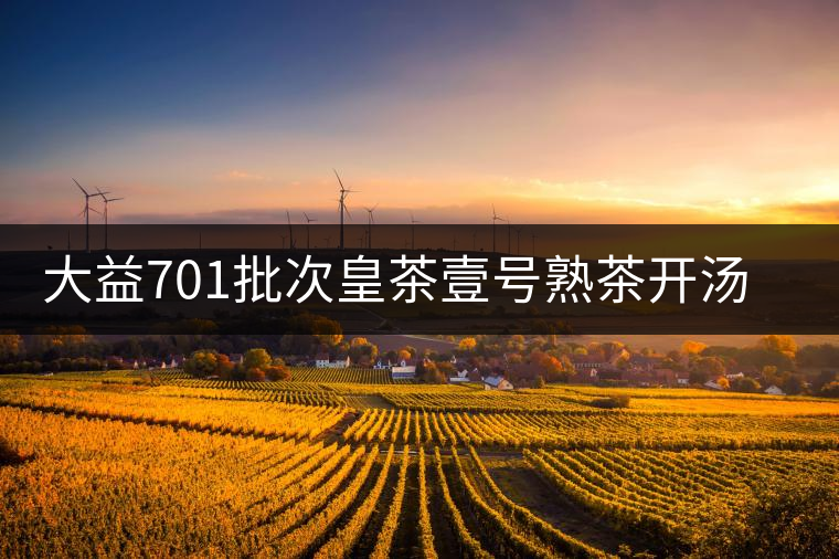 大益701批次皇茶壹號(hào)熟茶開湯賞析 大益701批次皇茶壹號(hào)熟茶開湯賞析