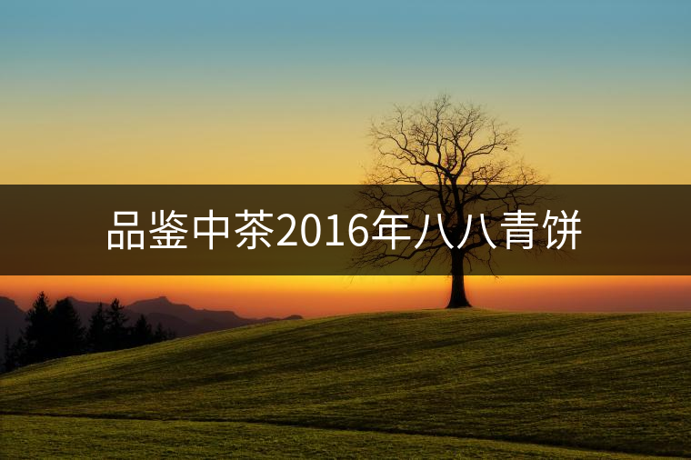 品鑒中茶2016年八八青餅 品鑒中茶2016年八八青餅