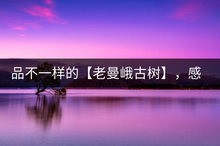 品不一樣的【老曼峨古樹】，感受別樣甘甜與溫婉