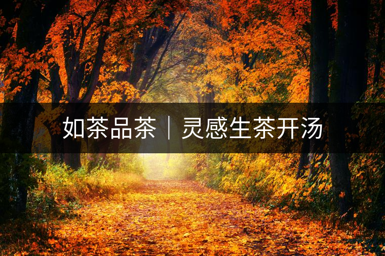 如茶品茶｜靈感生茶開湯
