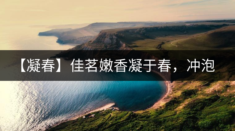 【凝春】佳茗嫩香凝于春，沖泡要訣盡在此