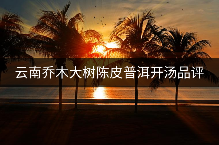 云南喬木大樹(shù)陳皮普洱開(kāi)湯品評(píng) 云南喬木大樹(shù)陳皮普洱開(kāi)湯品評(píng)