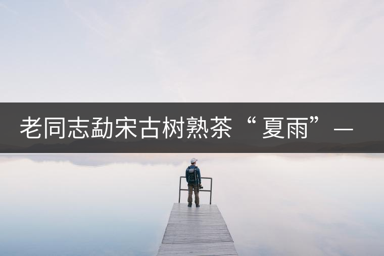 老同志勐宋古樹熟茶“ 夏雨”— 飲茶伴夏，只為您！