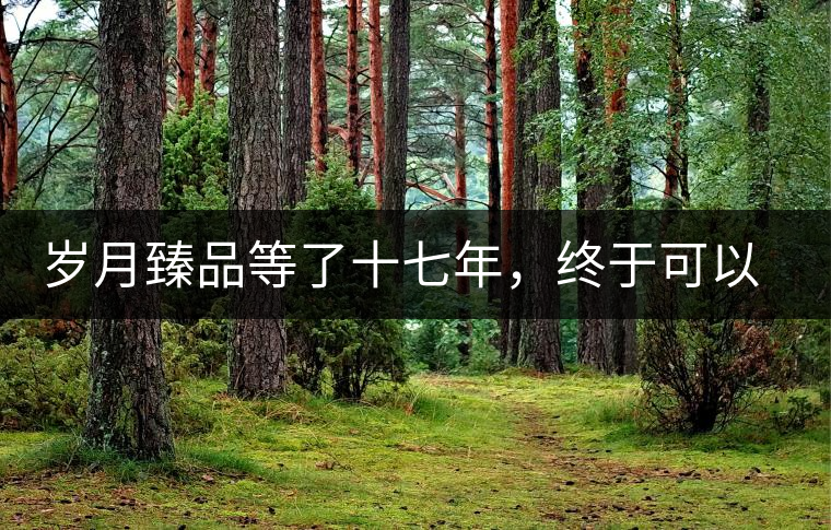 歲月臻品等了十七年，終于可以品味歲月