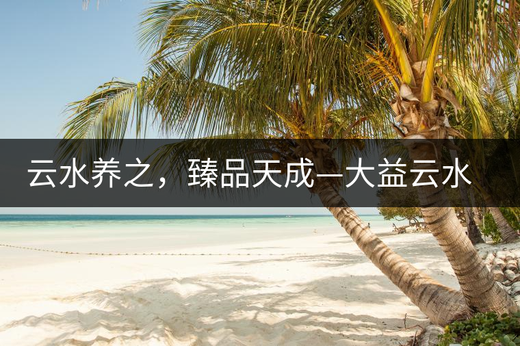 云水養(yǎng)之，臻品天成—大益云水臻開湯