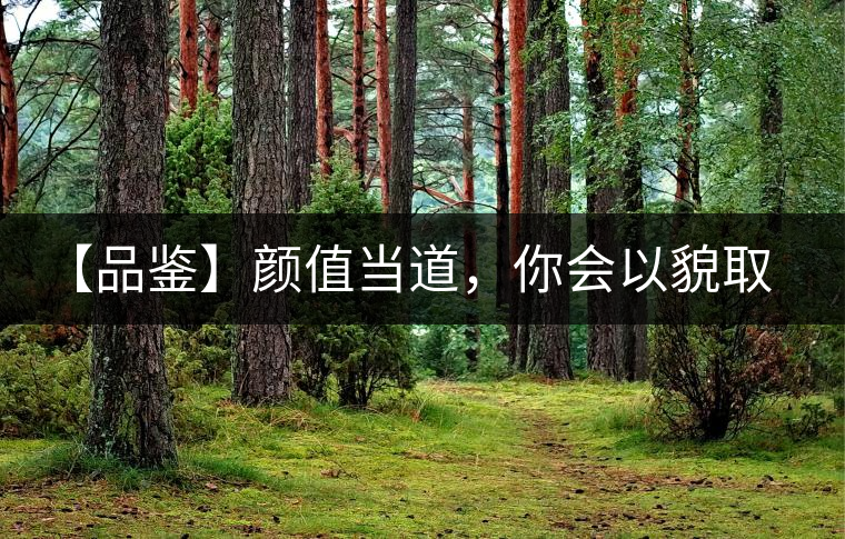 【品鑒】顏值當(dāng)?shù)?，你?huì)以貌取茶嗎？