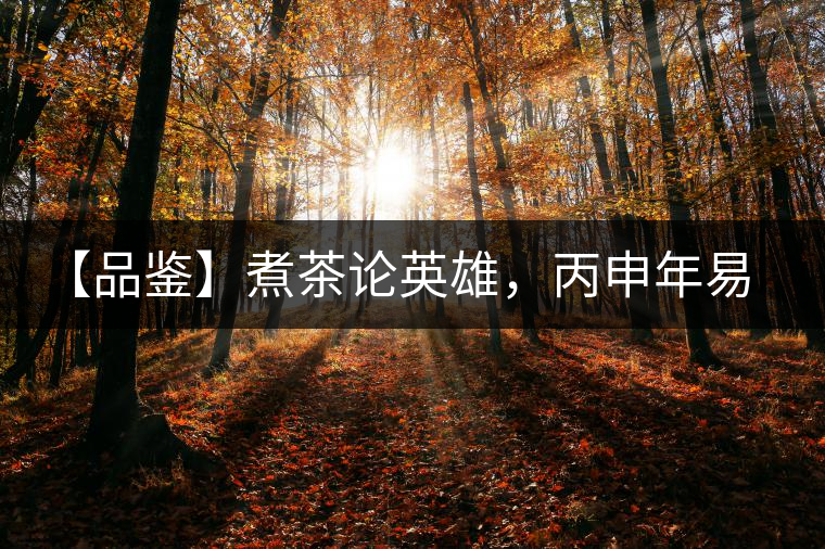 【品鑒】煮茶論英雄，丙申年易武麻黑